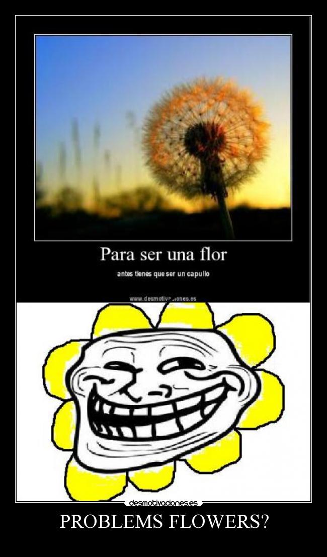 PROBLEMS FLOWERS? -