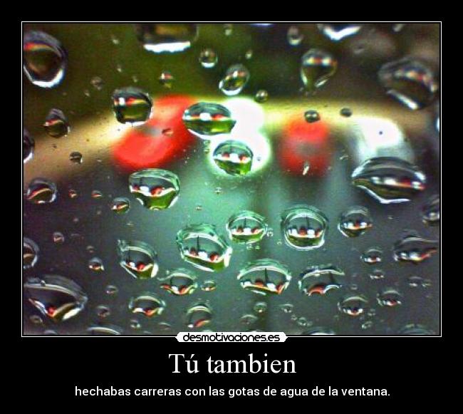 Tú tambien - hechabas carreras con las gotas de agua de la ventana.