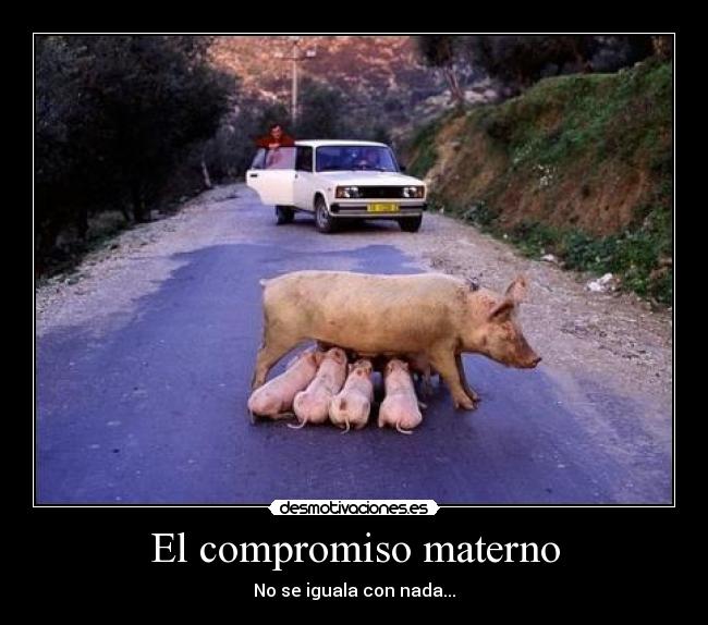 El compromiso materno -