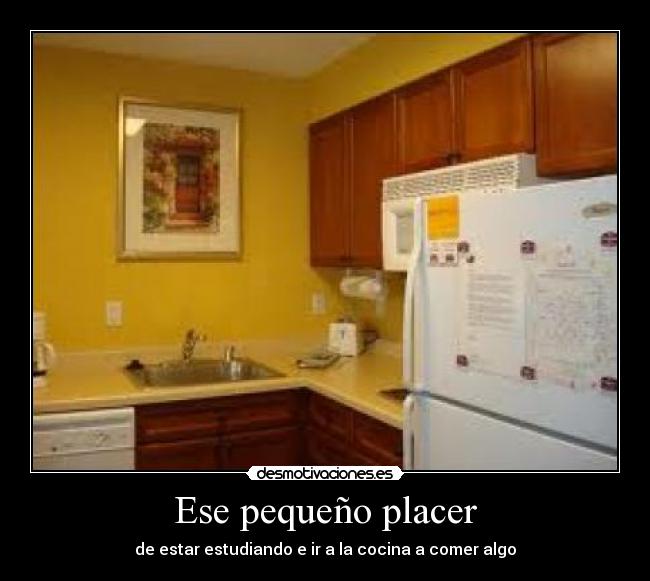 Ese pequeño placer - de estar estudiando e ir a la cocina a comer algo