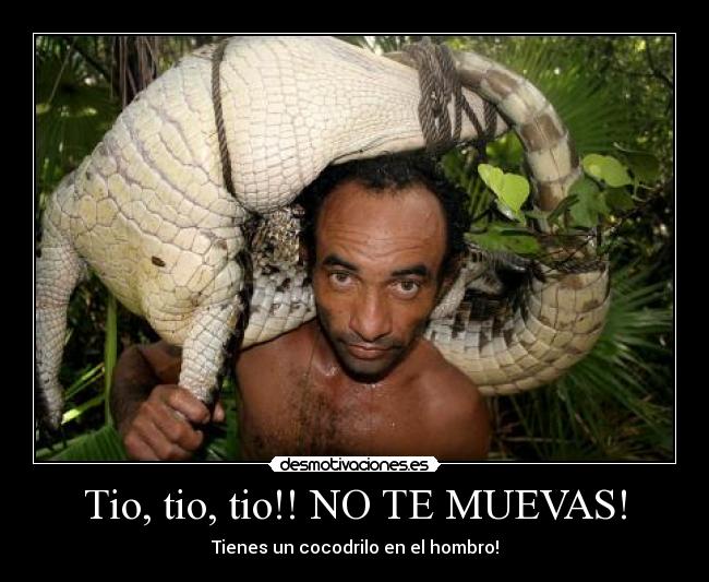 Tio, tio, tio!! NO TE MUEVAS! - 