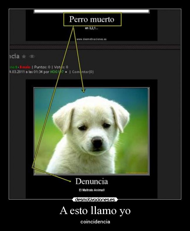 A esto llamo yo - coincidencia