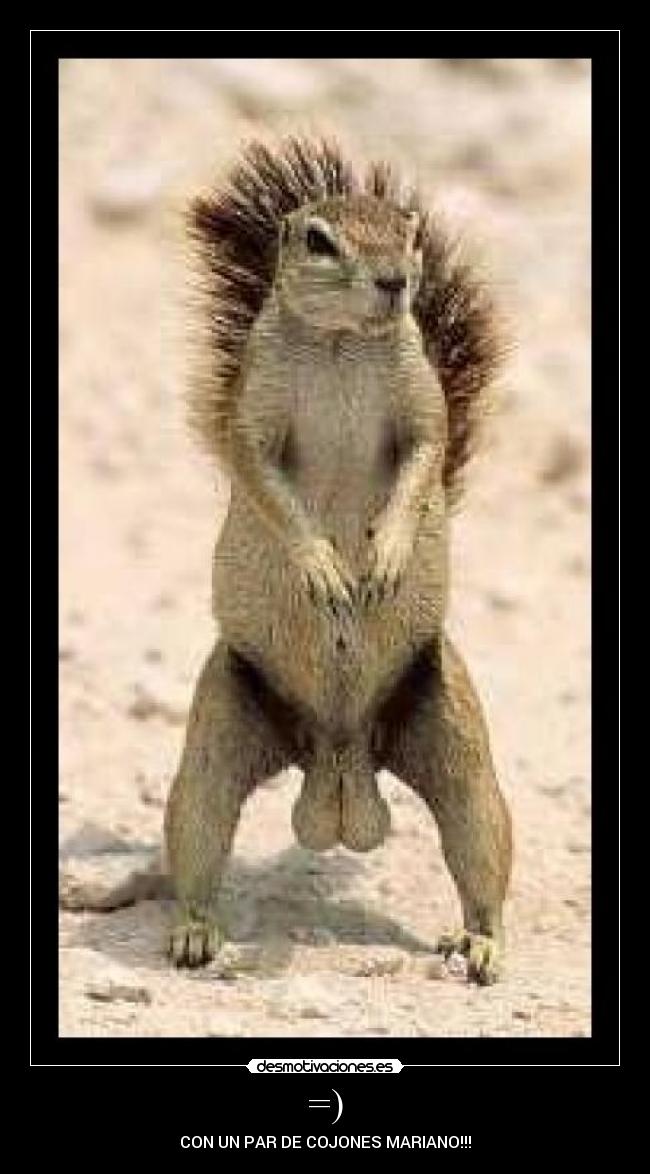 =) - CON UN PAR DE COJONES MARIANO!!!