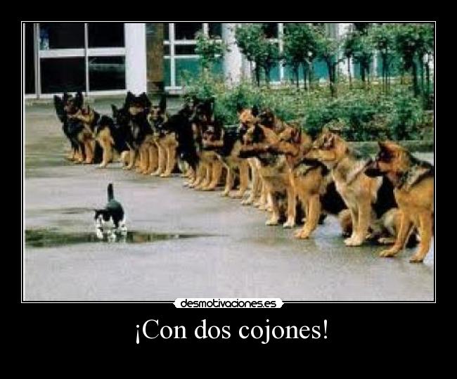 ¡Con dos cojones! - 