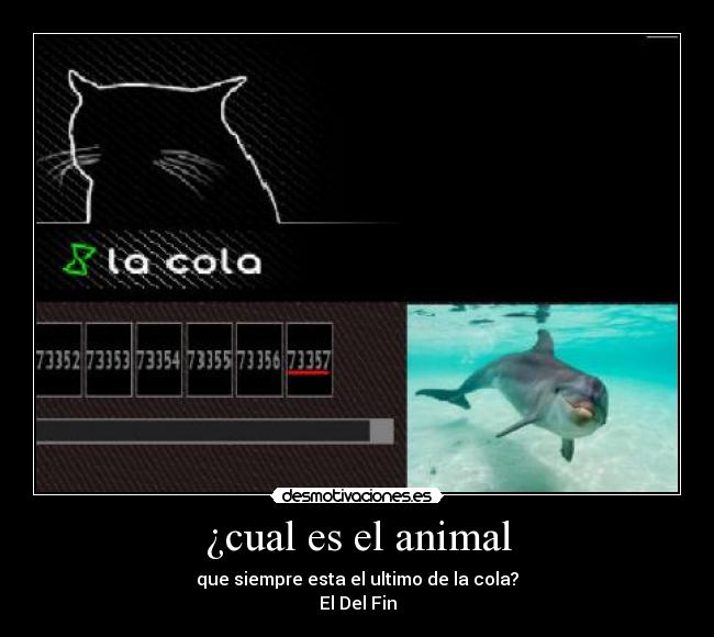 ¿cual es el animal - 