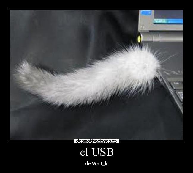 el USB - de Walt_k.