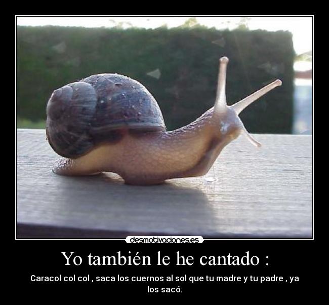 Yo también le he cantado : - Caracol col col , saca los cuernos al sol que tu madre y tu padre , ya los sacó.