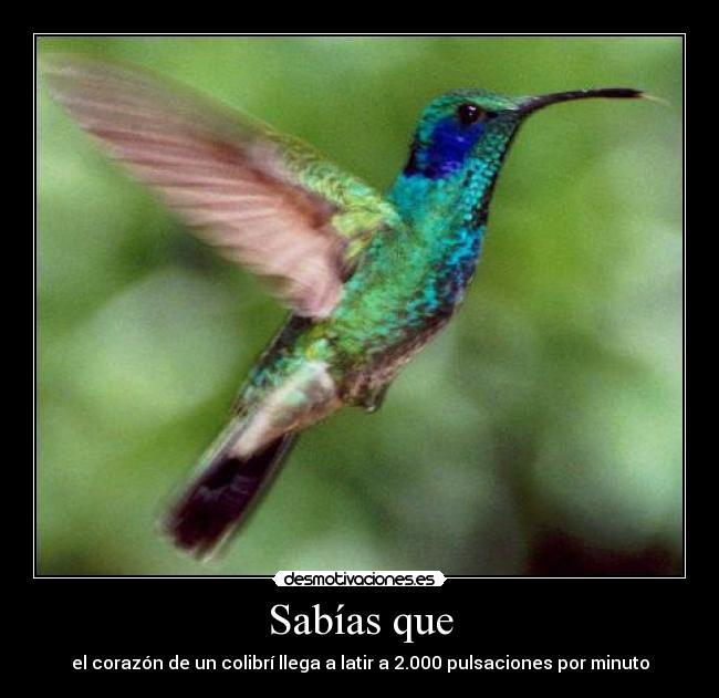 carteles sabias que desmotivaciones