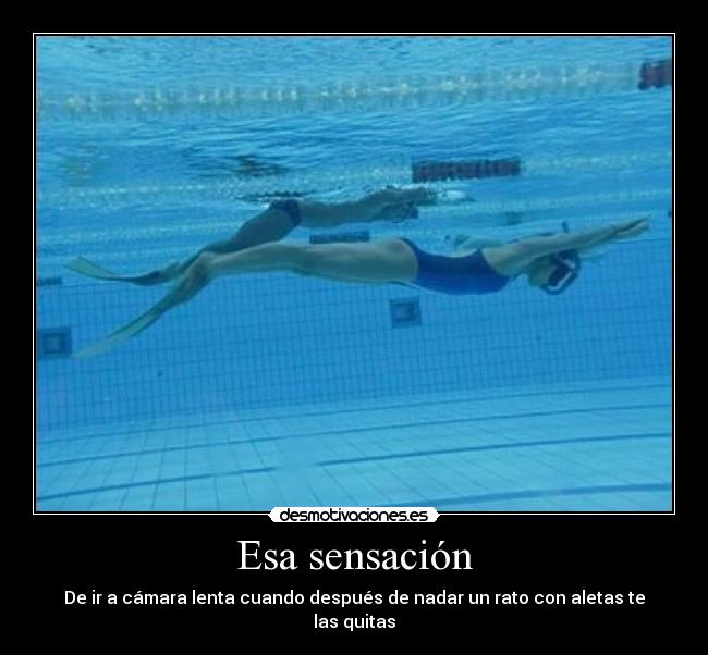 Esa sensación - De ir a cámara lenta cuando después de nadar un rato con aletas te las quitas