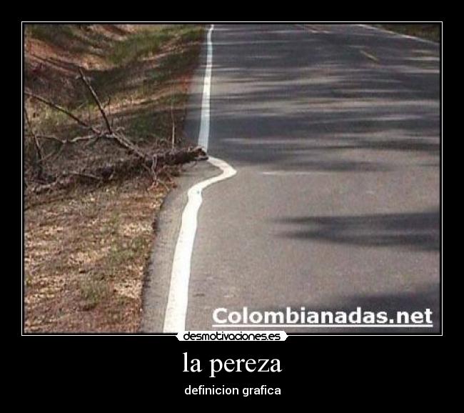 la pereza - definicion grafica