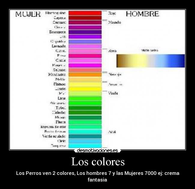Los colores -