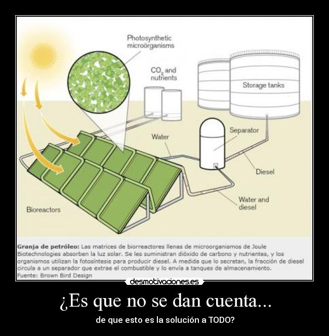 ¿Es que no se dan cuenta... - de que esto es la solución a TODO?