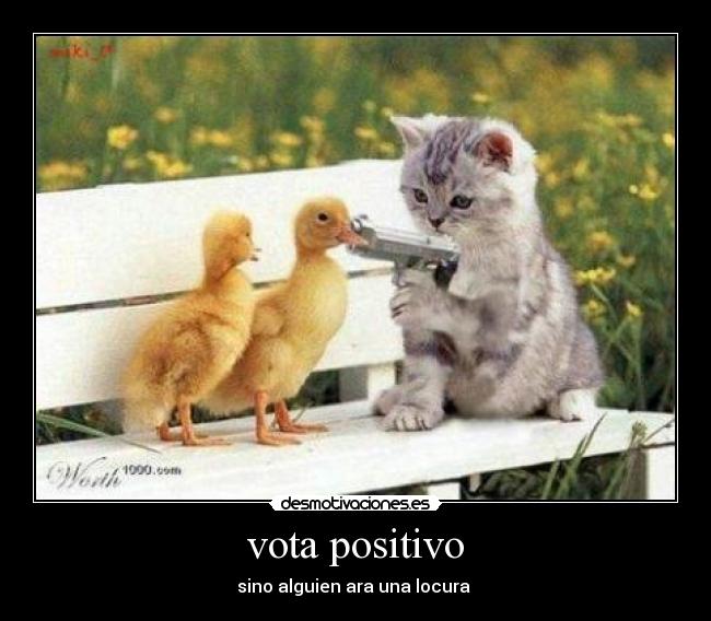 vota positivo - sino alguien ara una locura 