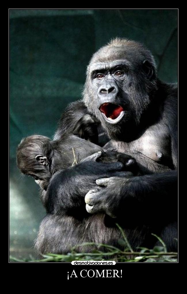 carteles comer desmotivaciones