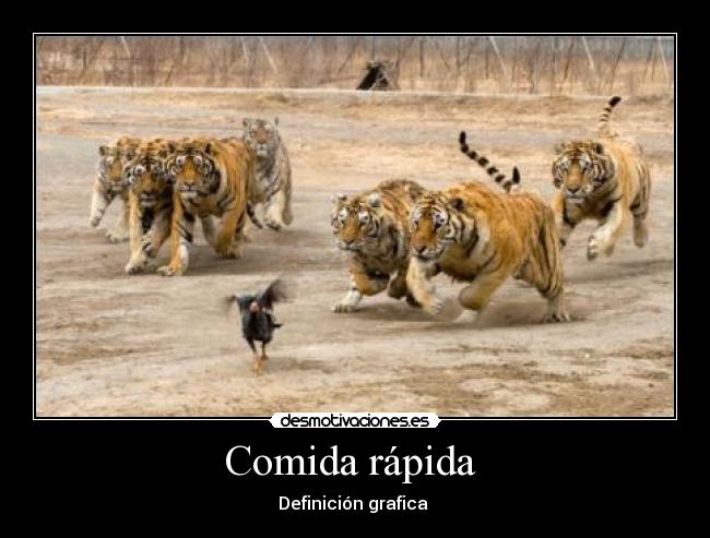 Comida rápida  - 