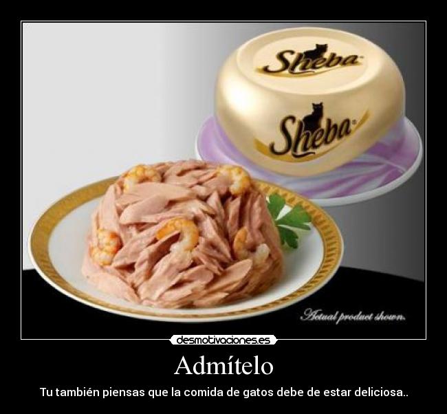 Admítelo - Tu también piensas que la comida de gatos debe de estar deliciosa..