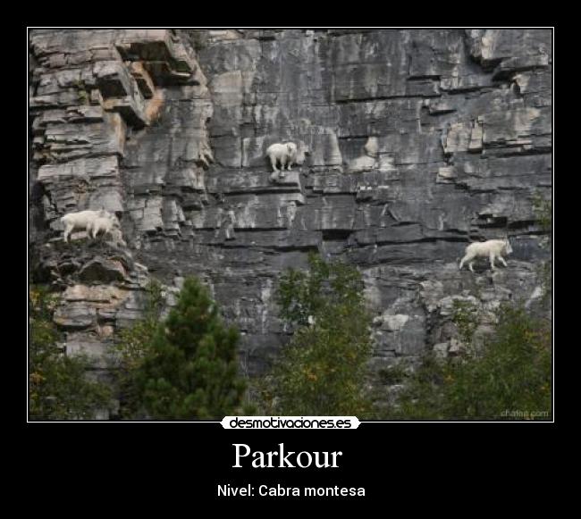 Parkour  - 