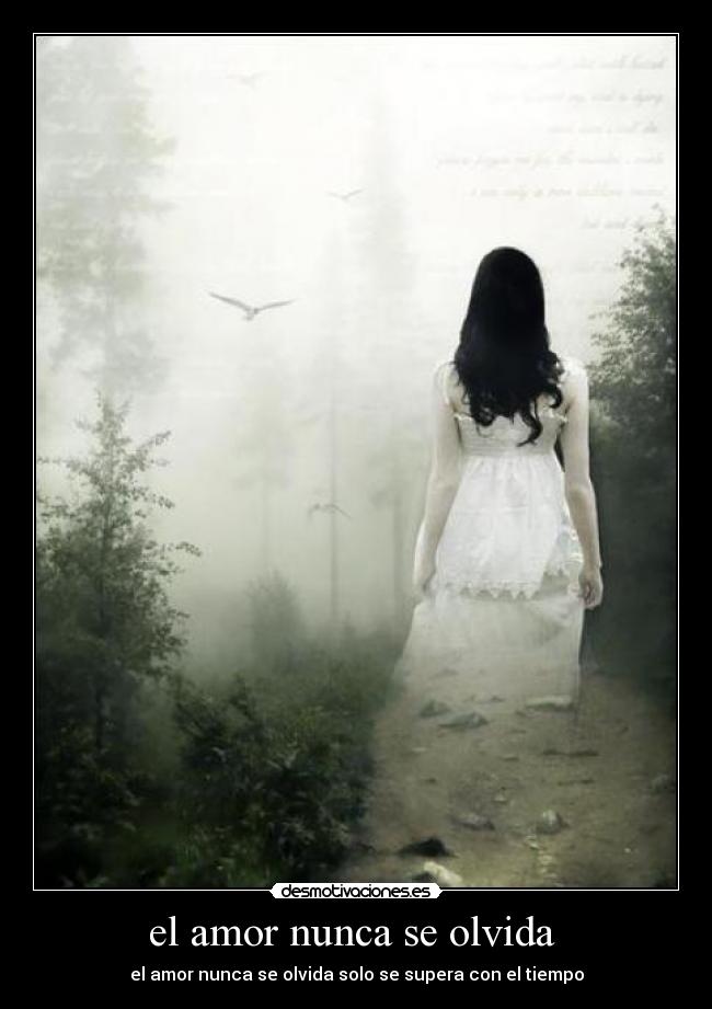 el amor nunca se olvida - el amor nunca se olvida solo se supera con el tiempo