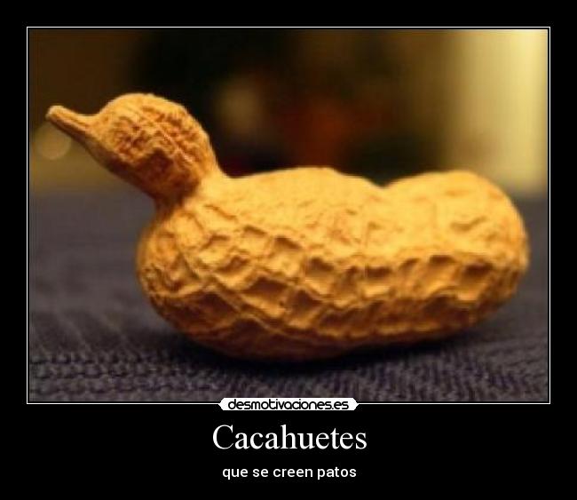 Cacahuetes - que se creen patos