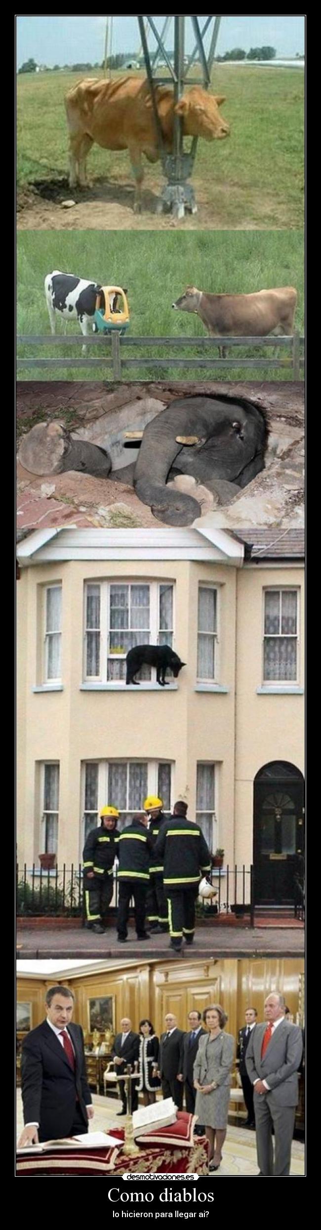 Como diablos - lo hicieron para llegar ai?