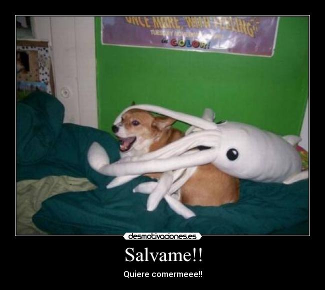 Salvame!! - Quiere comermeee!!
