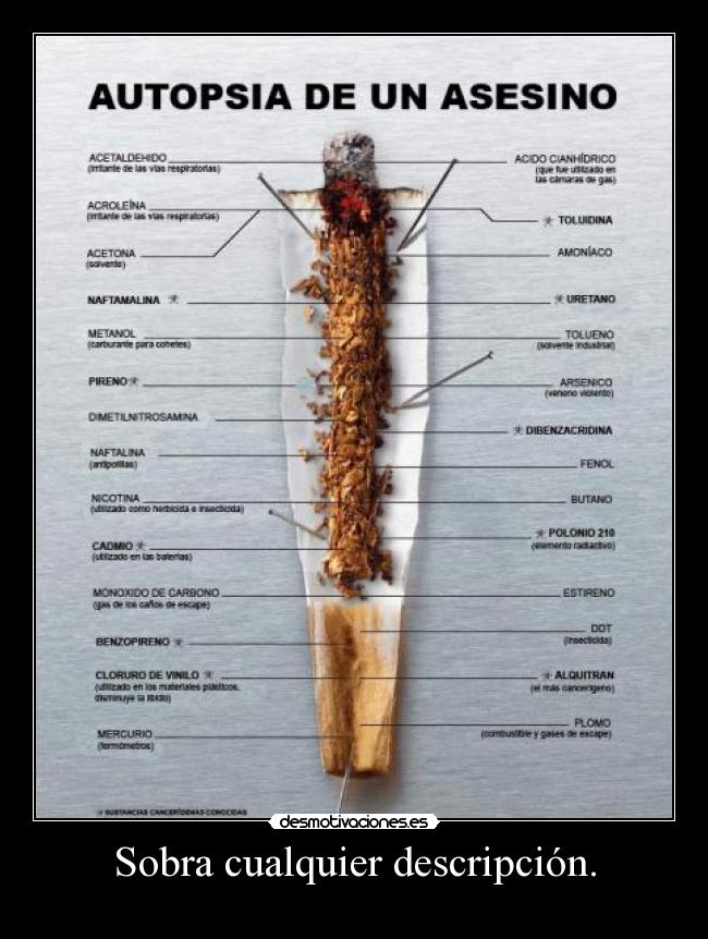 Sobra cualquier descripción. - 