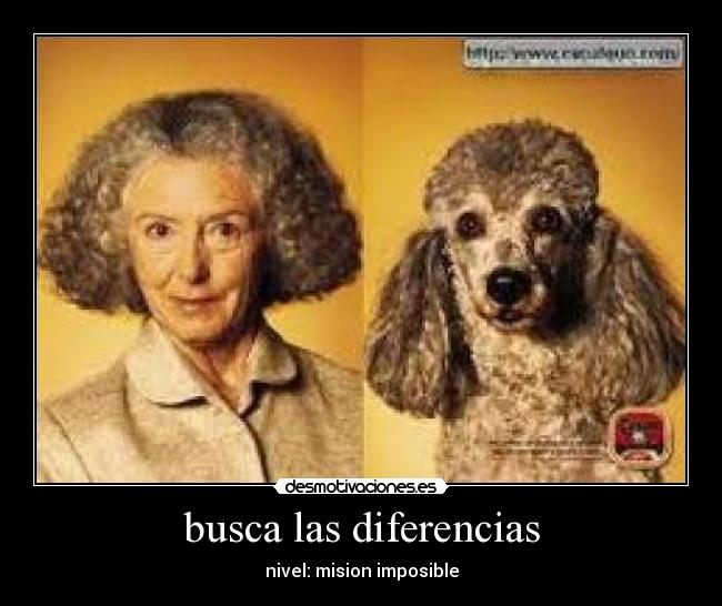 busca las diferencias - nivel: mision imposible
