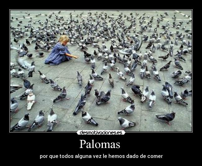 Palomas -