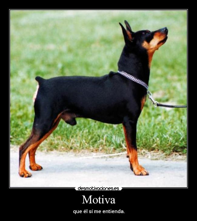 carteles desgracia desmotivaciones