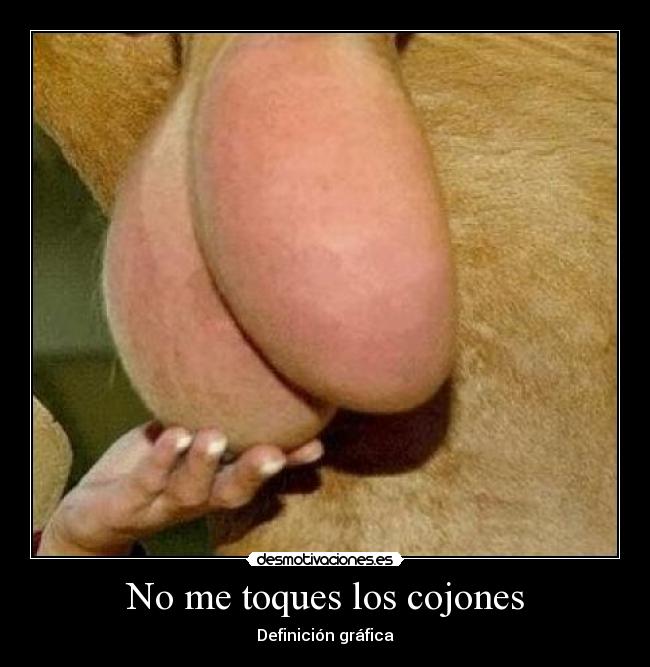 No me toques los cojones - 
