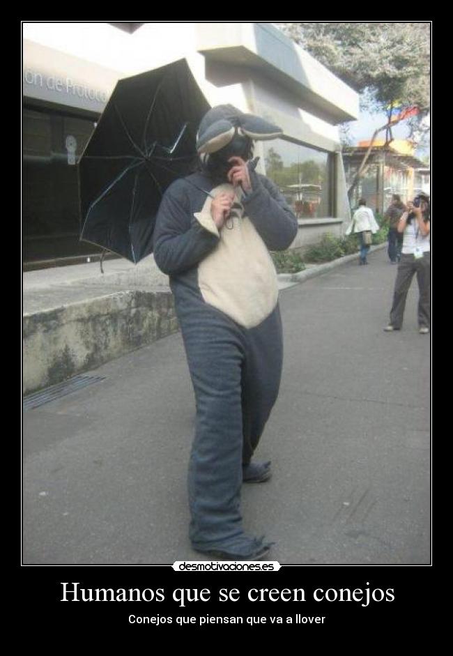 Humanos que se creen conejos - Conejos que piensan que va a llover