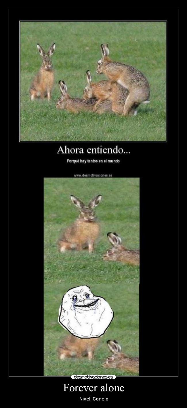 carteles forever alone conejo desmotivaciones