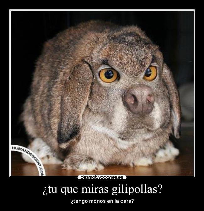¿tu que miras gilipollas? -