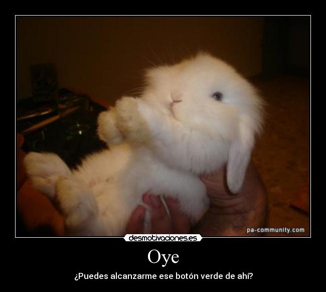 Oye - ¿Puedes alcanzarme ese botón verde de ahí?