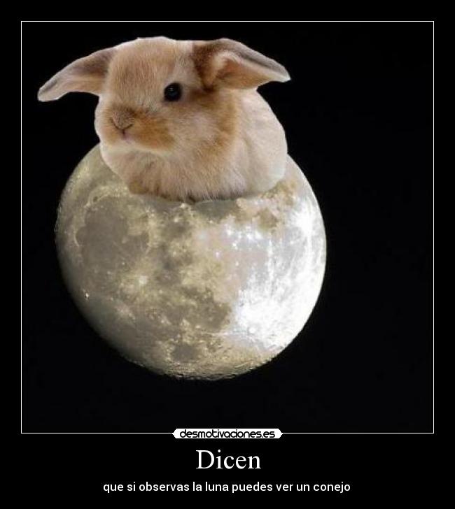 Dicen - que si observas la luna puedes ver un conejo