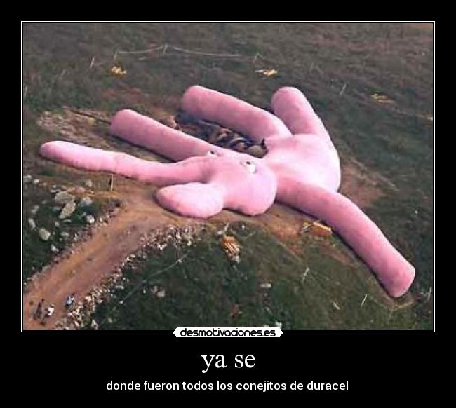 ya se - donde fueron todos los conejitos de duracel 