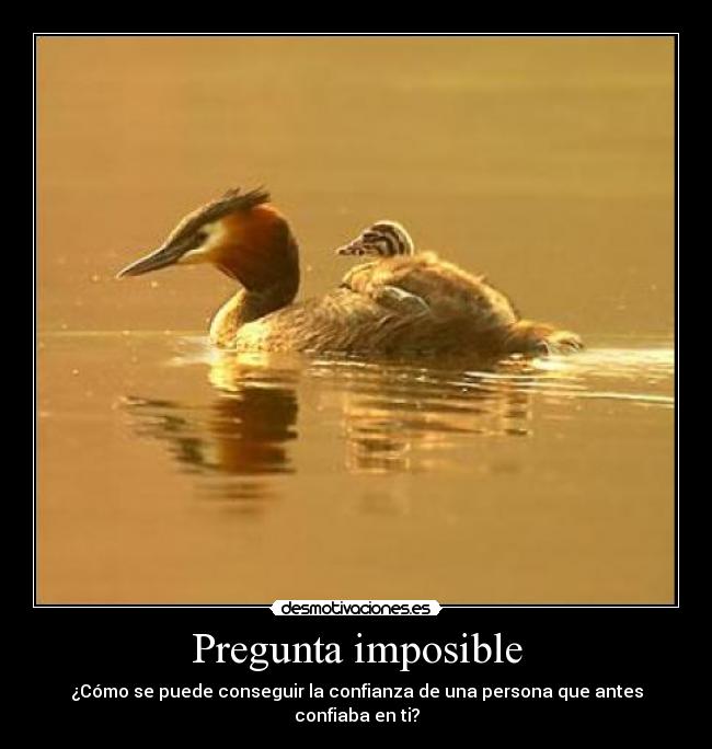 Pregunta imposible - ¿Cómo se puede conseguir la confianza de una persona que antes confiaba en ti?