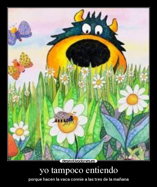 yo tampoco entiendo -