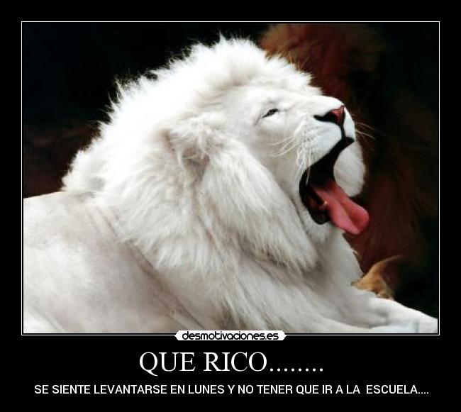 QUE RICO........ - SE SIENTE LEVANTARSE EN LUNES Y NO TENER QUE IR A LA ESCUELA....