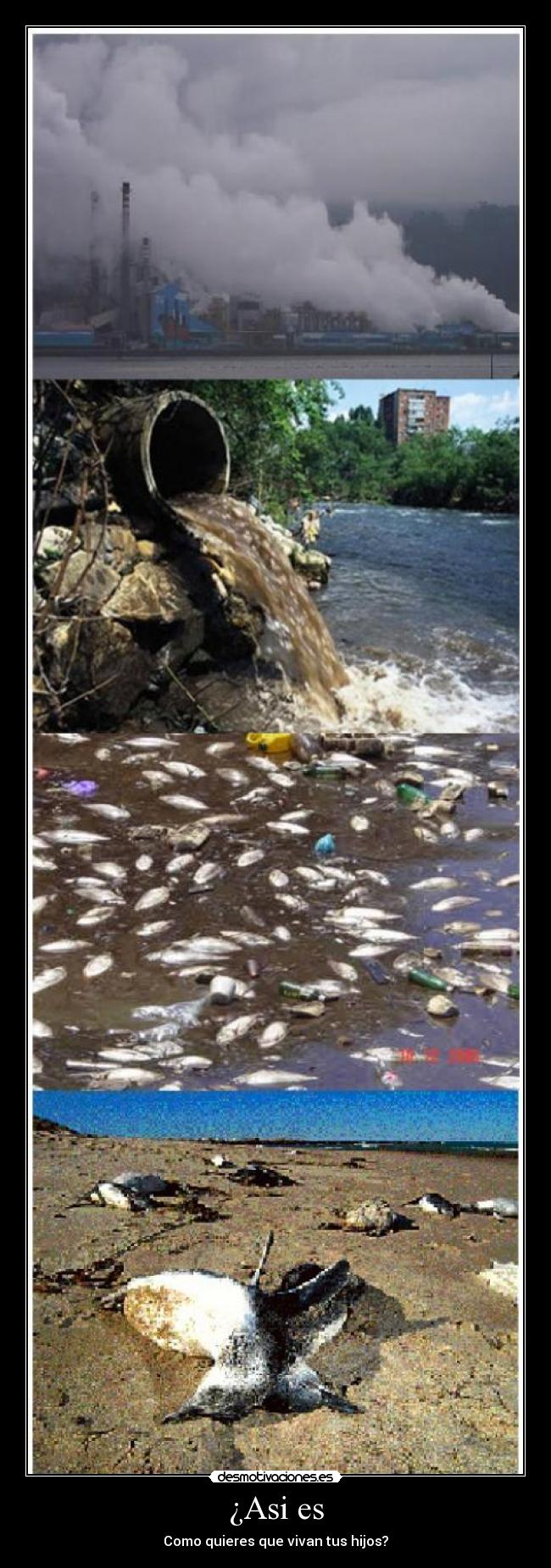 ¿Asi es - Como quieres que vivan tus hijos?