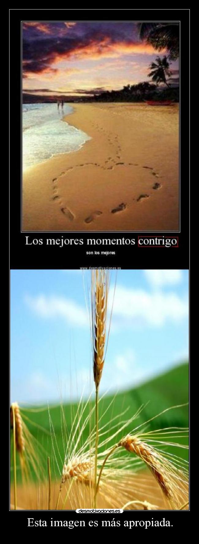 Esta imagen es más apropiada. -