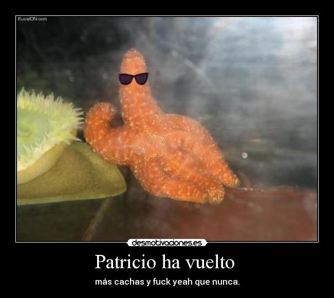 Patricio ha vuelto  - 
