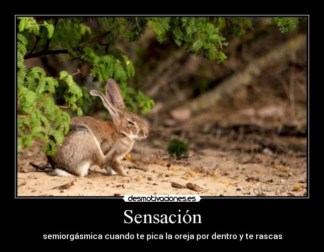 Sensación -