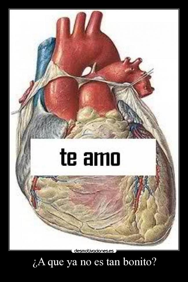 ¿A que ya no es tan bonito? -