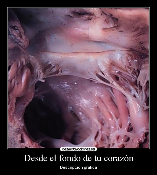 Desde el fondo de tu corazón - Descripción gráfica
