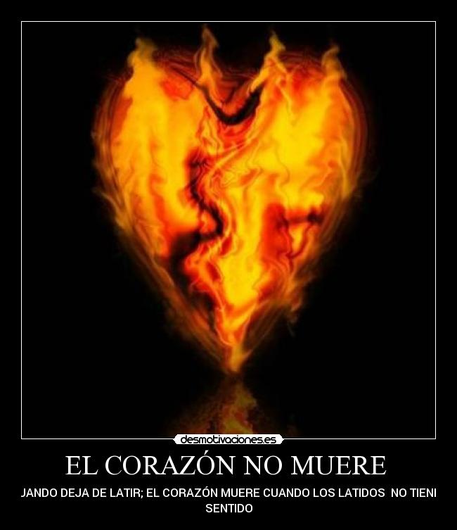 EL CORAZÓN NO MUERE -
