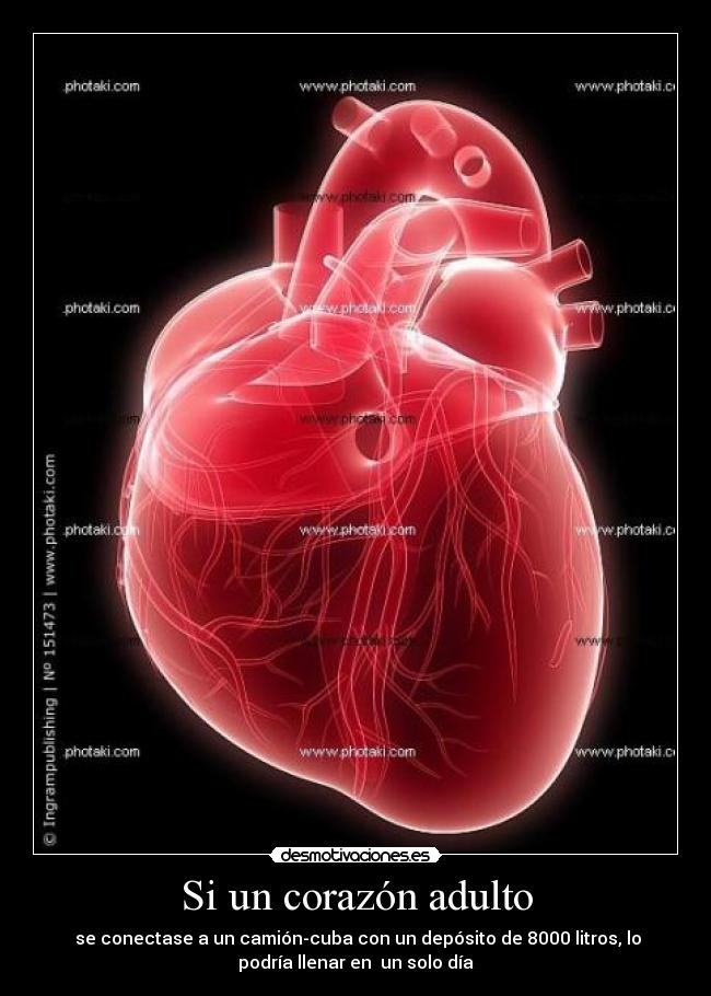 Si un corazón adulto - 