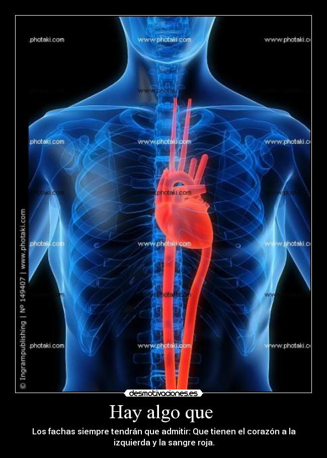 carteles facha rojo comunista fascista corazon politica desmotivaciones