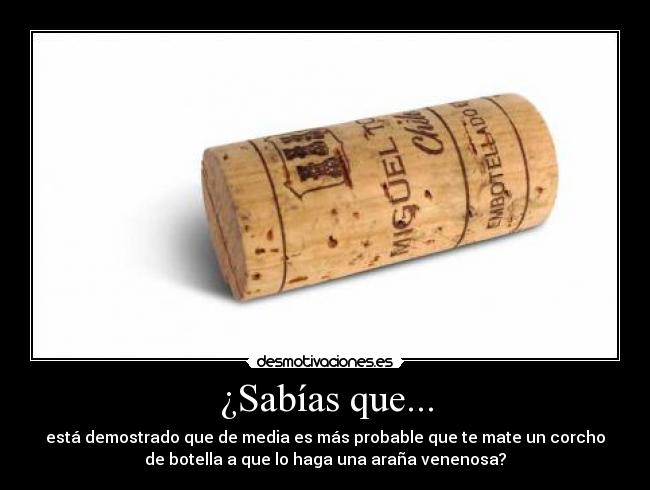 ¿Sabías que... - 