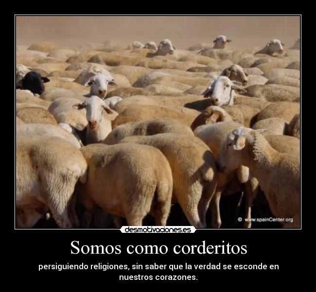 carteles melendi desmotivaciones